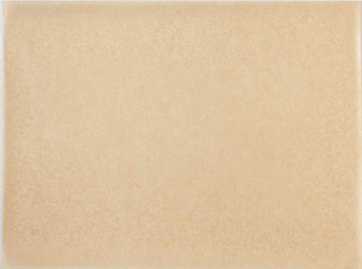 シート（焼・蒸）